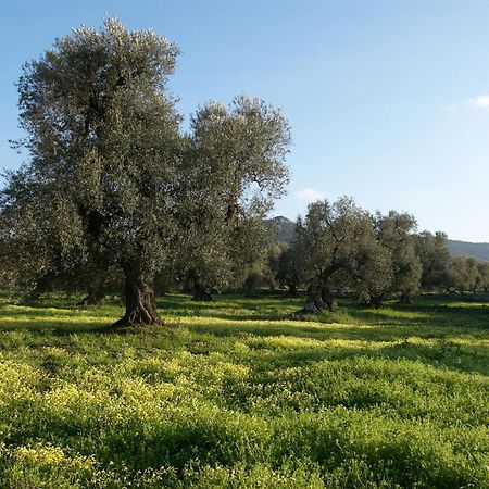 Minicasa Nella Natura, Con Piscina A Due Passi Ostuni Εξωτερικό φωτογραφία