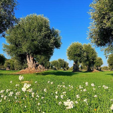 Minicasa Nella Natura, Con Piscina A Due Passi Ostuni Εξωτερικό φωτογραφία