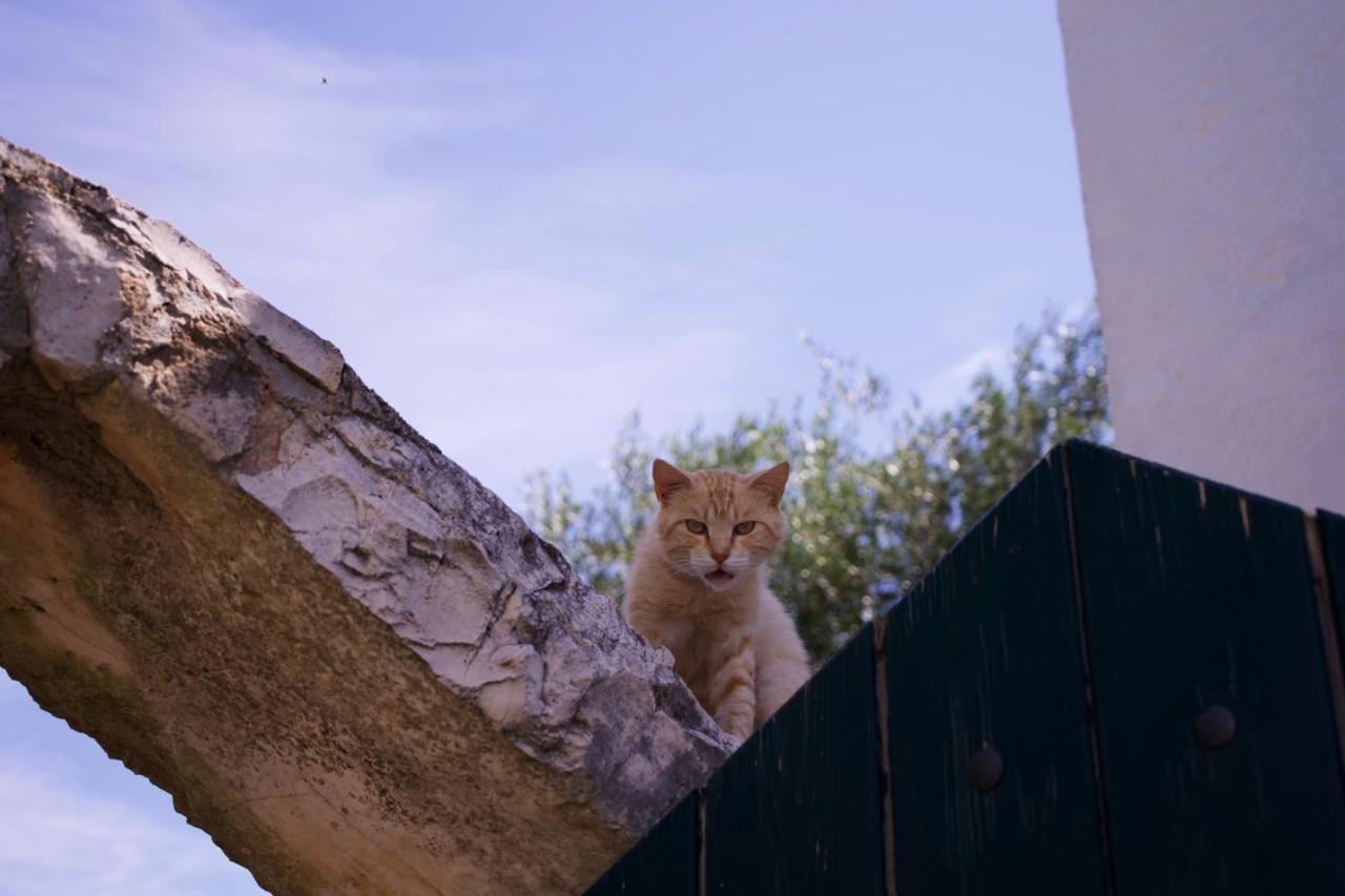 Minicasa Nella Natura, Con Piscina A Due Passi Ostuni Εξωτερικό φωτογραφία