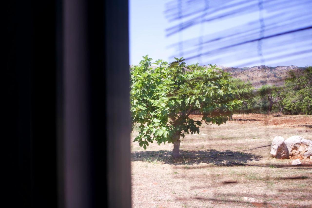 Minicasa Nella Natura, Con Piscina A Due Passi Ostuni Εξωτερικό φωτογραφία